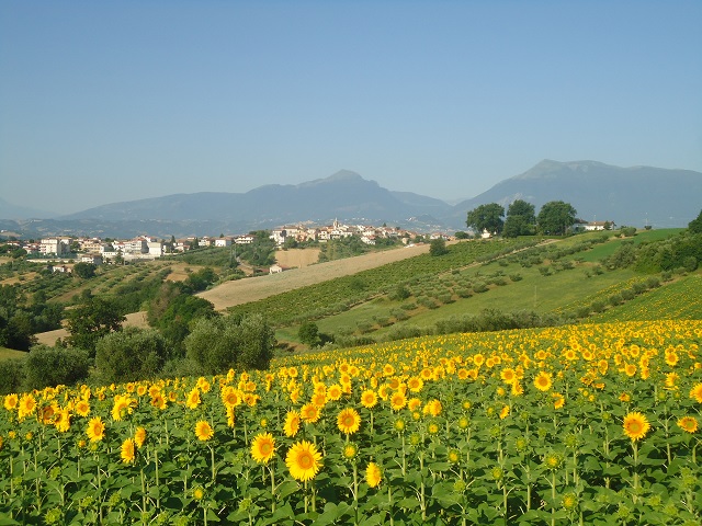 Villa Grazia