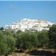 Ostuni