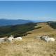 Oost-Toscana: Pratomagno