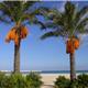 San Vito lo Capo
