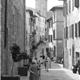 Montalcino