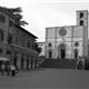 Todi