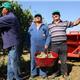 vendemmia