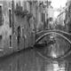 Venezia