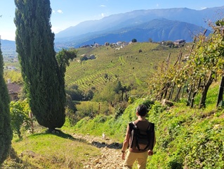 rondreis in Prosecco-streek en wijnreis Italië - wijnrondreis Veneto, de Marken, Toscane en Piemonte