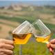 rondreis in Prosecco-streek en wijnreis Italië - wijnrondreis Veneto, de Marken, Toscane en Piemonte