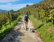 Prosecco-streek