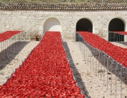 Accommodatie in Basilicata